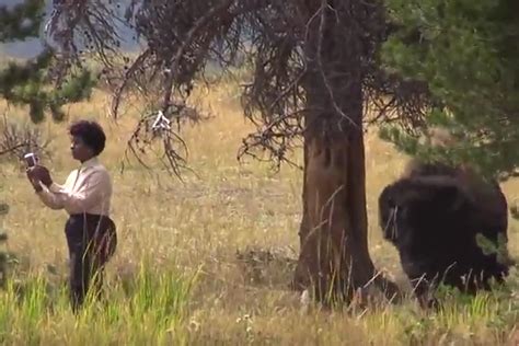 The Best of the Worst Tourons of Yellowstone [VIDEOS]