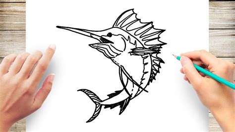 How to Draw a Marlin - YouTube