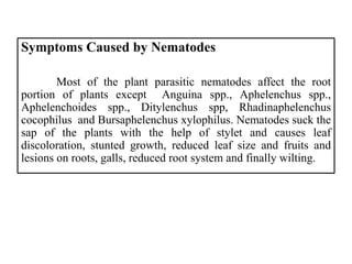 B.Sc. Agri II IN U-3 Symptoms caused by Nematode | PPT