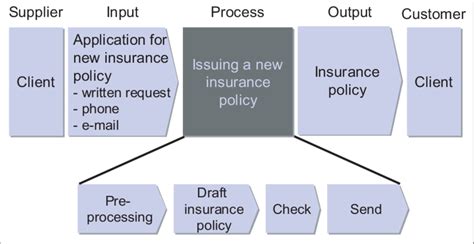 The process description of the process of issuing new insurance ...