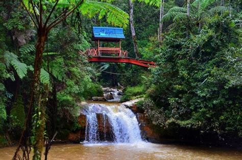 Cameron Highlands Hiking Guide [2024]