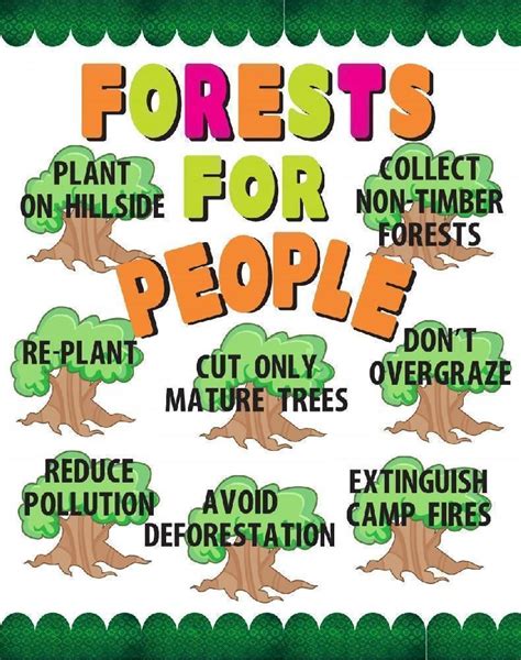 Make a Forest for People Poster | Forest Conservation Poster Ideas | Forest conservation, Save ...