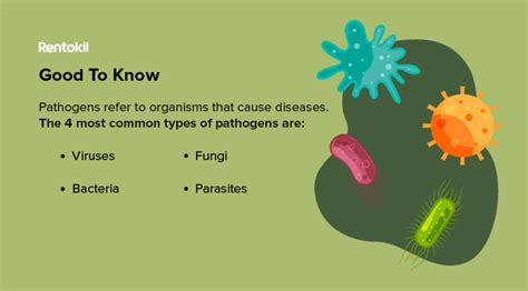 4-Most-Common-Types-of-Pathogens - deBugged SG - The Pest Control Blog