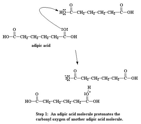 Give an example of each homopolymer and copolymer.