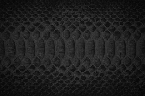 Black Snake Skin Texture