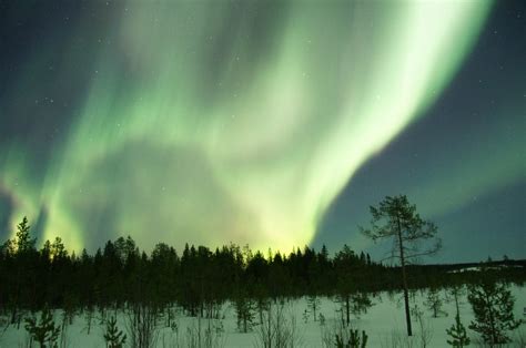 Aurora Borealis above the North Pole, Greenland image - Free stock ...