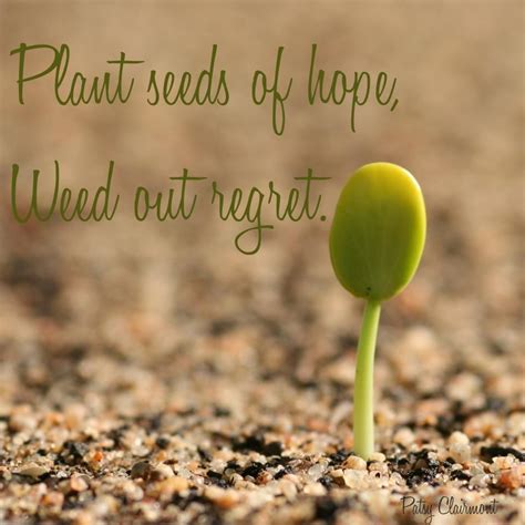 Plant seeds of hope.... | The tiny seed, Planting seeds, Seed quotes