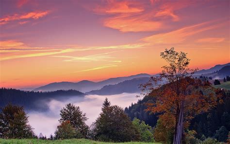 sunset, Mountains, Trees, Fall, Landscape, Autumn, Fog, Sunrise Wallpapers HD / Desktop and ...
