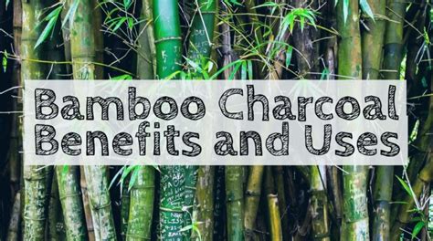 4 Top Uses of Bamboo Charcoal