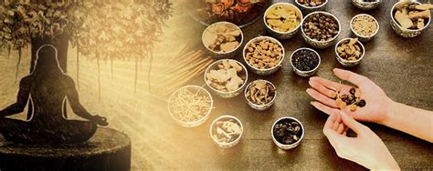 Ayurveda Medicine System at James Bowers blog