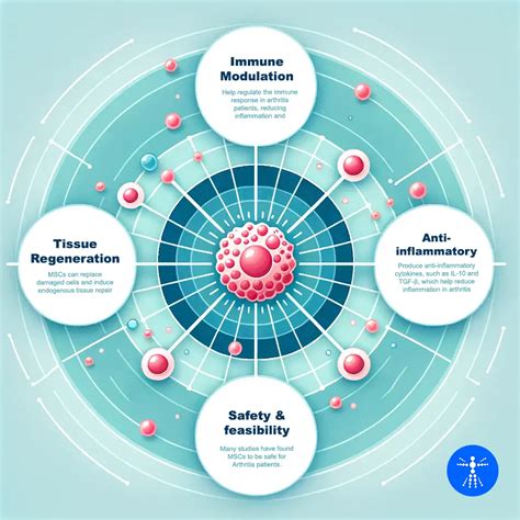 Stem Cell Therapy for Arthritis: Success Rate & Cost Info (2023)