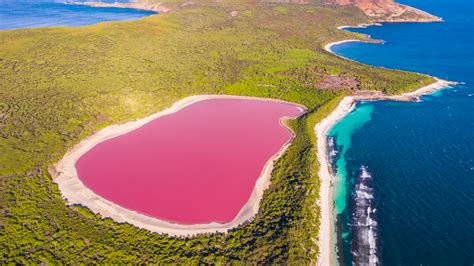 Pink Lake Mystery Solved - Videos from The Weather Channel