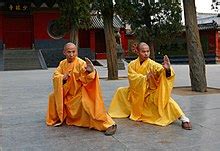 Martial arts – Travel guide at Wikivoyage