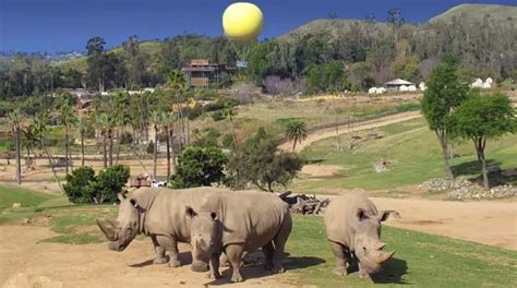 San Diego Safari Park animals and their habitats