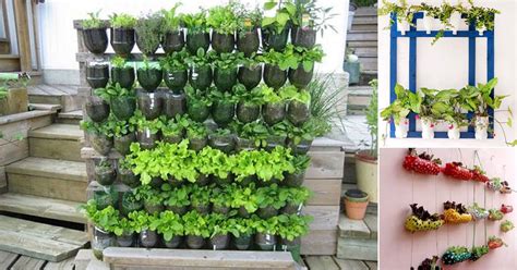 17 DIY Ideas for Growing Herbs in Plastic Bottles | Balcony Garden Web