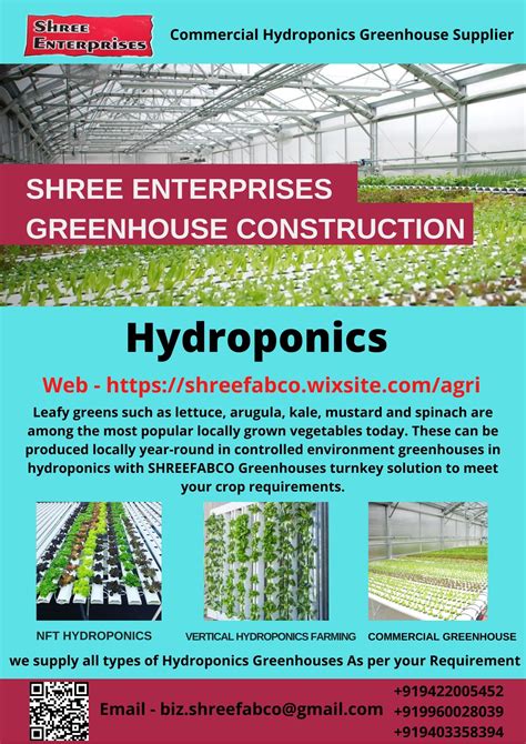 Commercial hydroponics Greenhouse - Farmers Market Kenya