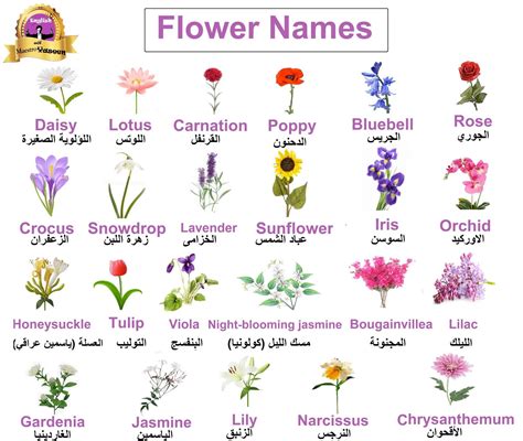 √ Flowers Names With Pictures