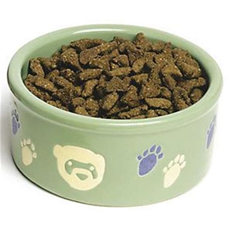 Super Pet Paw Print Ferret Bowl - Ferret.com