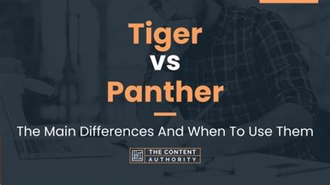 Tiger vs Panther: The Main Differences And When To Use Them