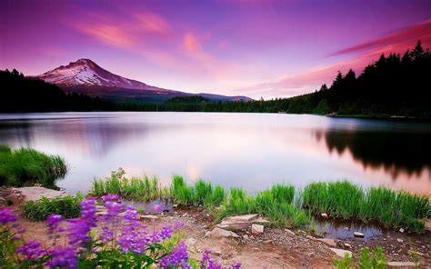 Landscape With Mountain, Lake And Flowers Wallpapers - Wallpaper Cave