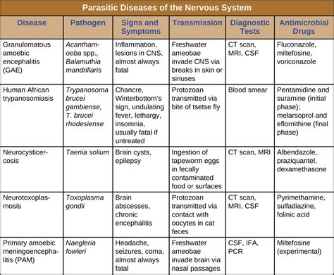 Fungal and Parasitic Diseases of the Nervous System | Microbiology