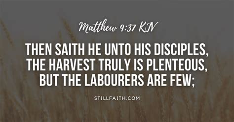 96 Bible Verses about Harvest (KJV) | StillFaith.com