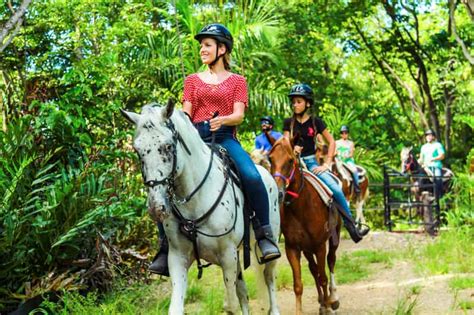 Carabalí Rainforest Park: Rainforest Horseback Riding Tour | GetYourGuide