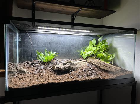 Check out my new scorpion habitat! : r/Scorpions