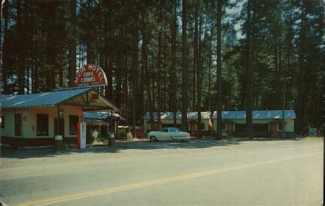 Muir Motel Cave Junction, OR Postcard