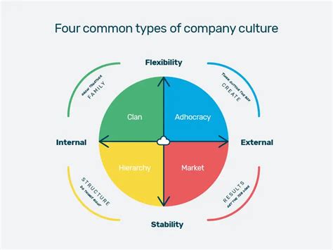 4 different types of company culture explained - EU-Vietnam Business Network (EVBN)