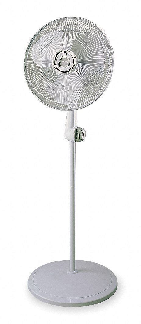 Residential Pedestal Fan, Oscillating, 120, Number of Speeds 3 - Grainger