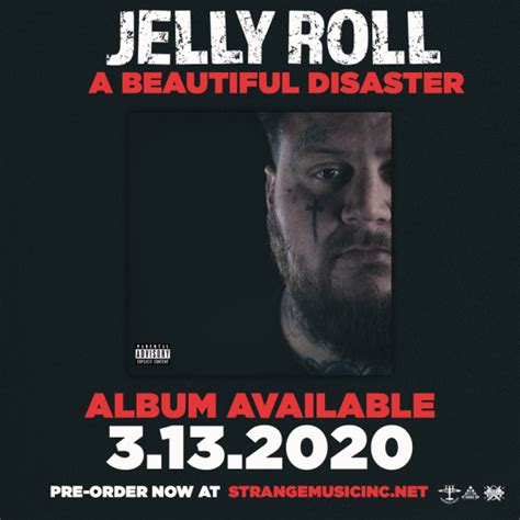 PRE-ORDER: Jelly Roll – A Beautiful Disaster