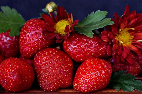 Strawberry Fruit Flower - Free photo on Pixabay - Pixabay