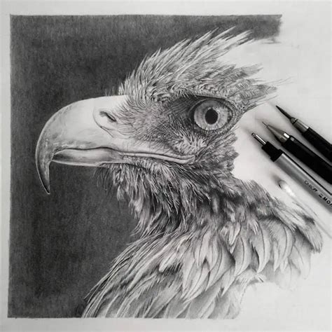 Hyperrealistic Graphite Drawings by Monica Lee