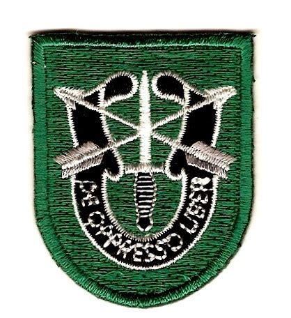 US Army 10th Special Forces Group Flash Patch with Crest SFG Patch - Other