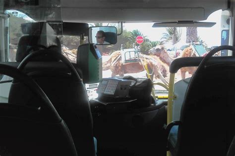 Lanzarote Bus Routes and Timetables | LanzaroteGuide.com