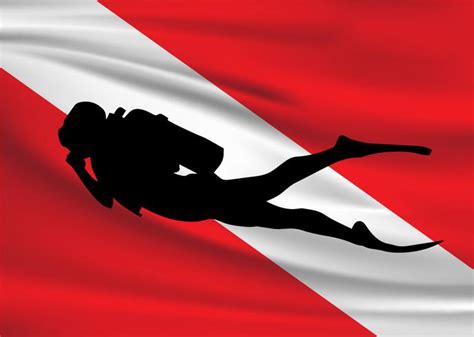 Vector Dive Flag And Diver Icon 117752 Vector Art at Vecteezy