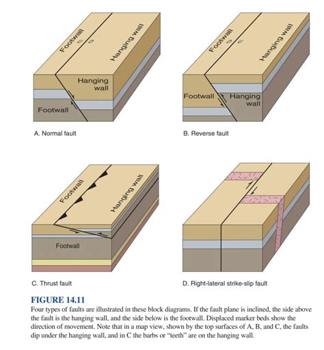 Solved A. Normal fault B. Reverse fault C. Thrust fault D. | Chegg.com