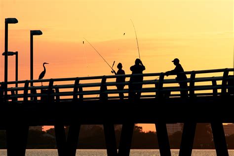 Pier Fishing Tips for Beginners