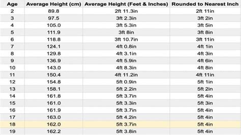 The Average 18 Year Old Height for Females and Males