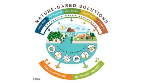 Informing the global standard for Nature-based Solutions | IUCN