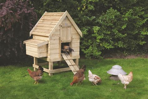 Transforming Your Chicken Coop into a Stylish Miniature House