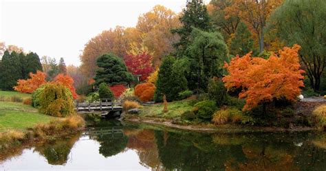 1003 Gardens: Brookside Gardens Fall Foliage