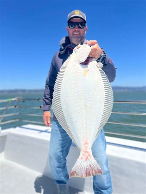 California Dawn Fish Report - Fish Report - Solid fishing on the bay ...