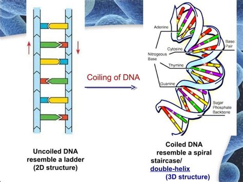 Molecular genetics 2014