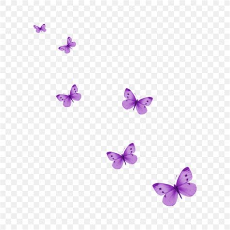 Glasswing Butterfly Clip Art Transparency, PNG, 1024x1024px, Butterfly, Drawing, Glasswing ...