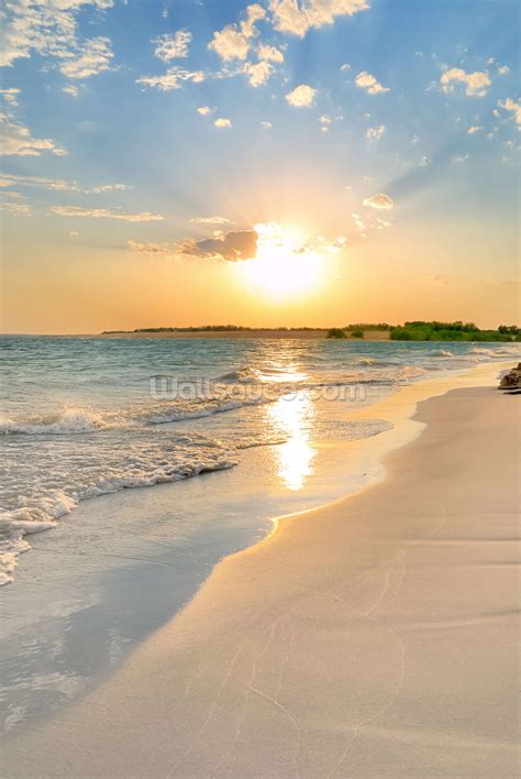 Tranquil Beach Sunset Wallpaper Mural | Wallsauce SE