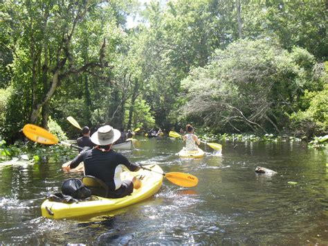 Kayaking Wekiva River & Rock Springs Run with Gators! ~ When 140 Characters Just Doesn't Cut It...