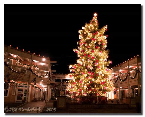 Old Town Christmas Tree – Albuquerque Daily Photo