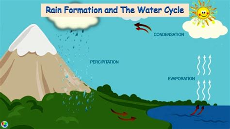 Water Cycle | How rain is formed - Rain Formation and the Water Cycle - YouTube